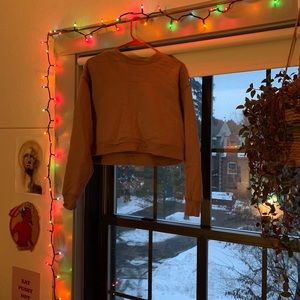 Cropped mauve girlfriend collective crew neck, new without that